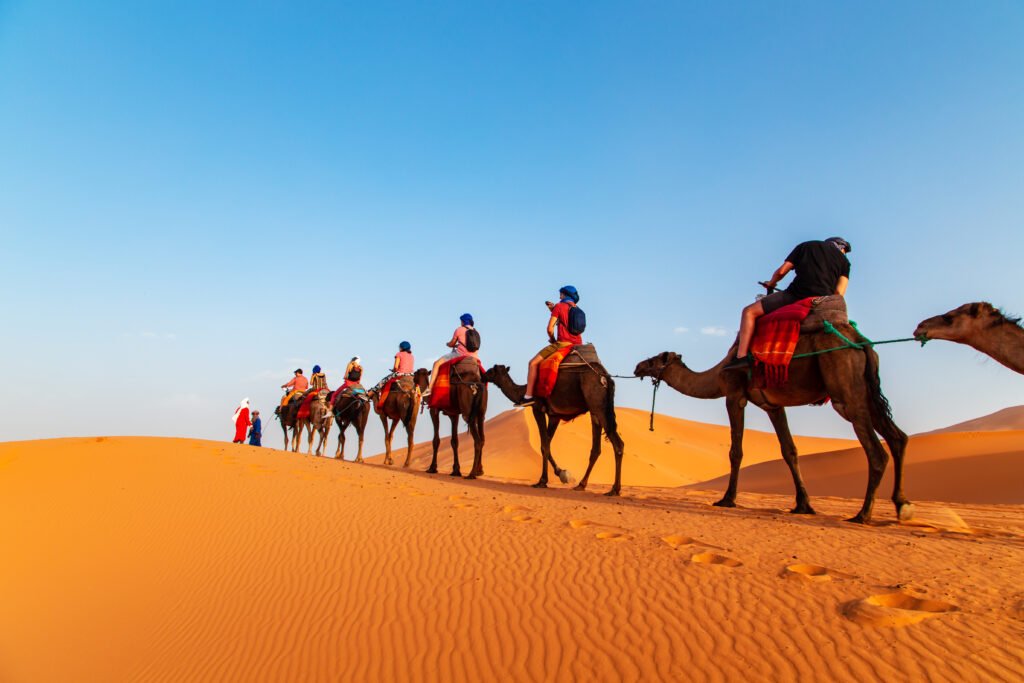 sunset sahara desert