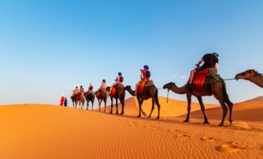 sunset sahara desert