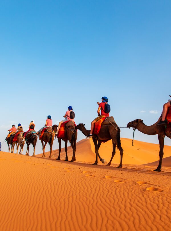 sunset sahara desert