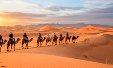 riding camels desert