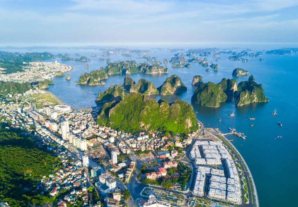 cityscape by sea