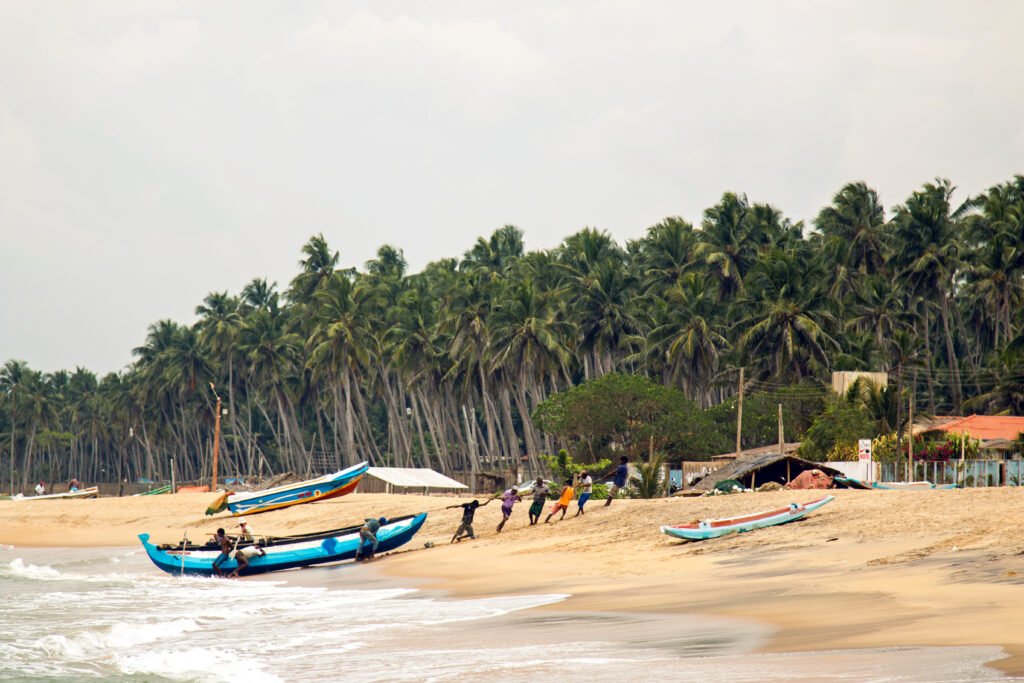Morning in Kerala