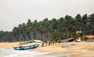 Morning in Kerala