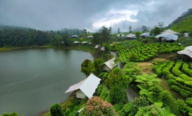 lake view