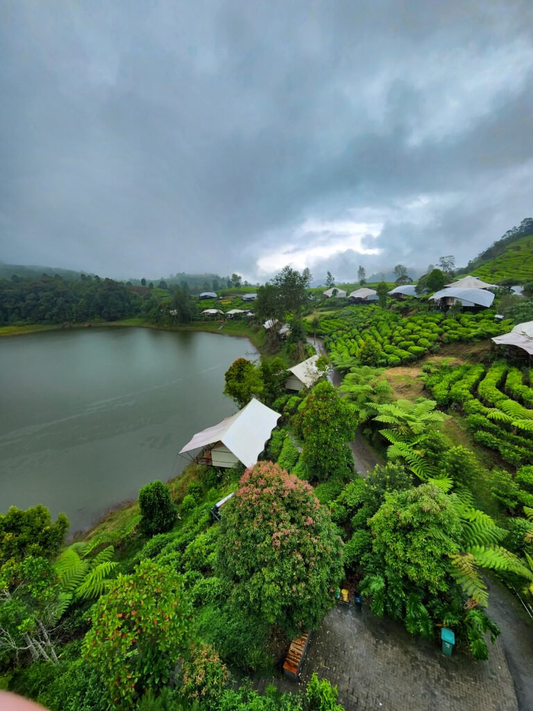 lake view