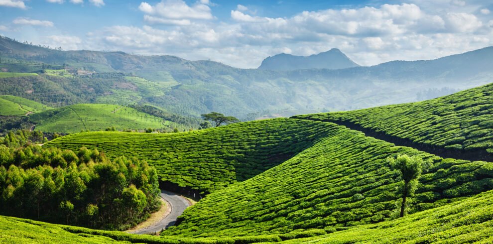 Munnar