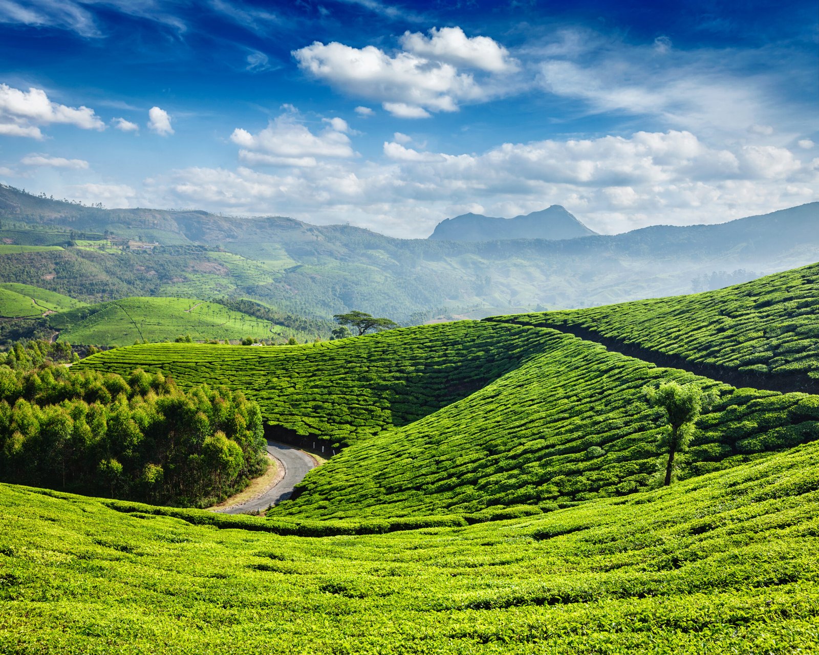 Munnar
