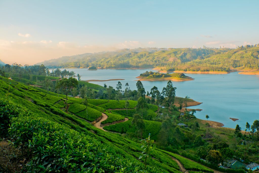 Wayanad gateway
