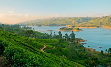 Wayanad gateway