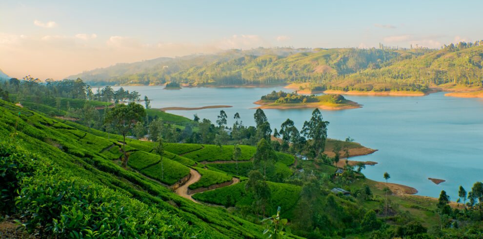 Wayanad gateway