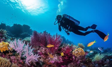 andaman snorkeling