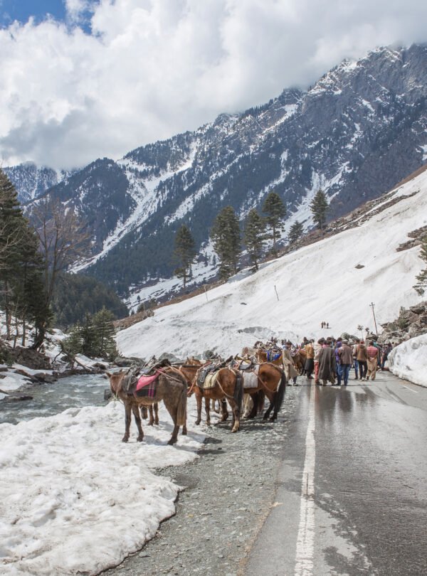 snow in kashmir