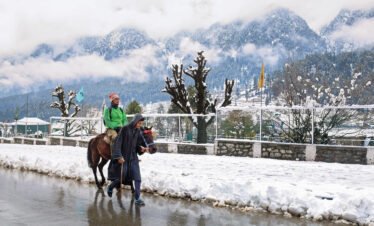 kashmir