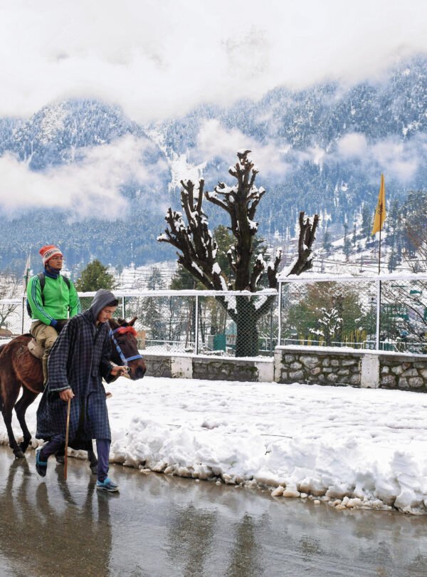 kashmir