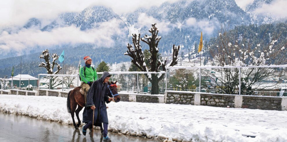 kashmir