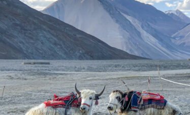 ladakh India