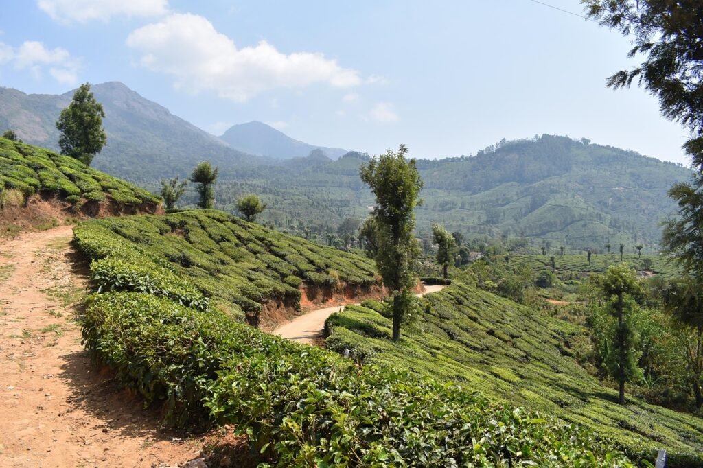 best tourist spots in Kerala