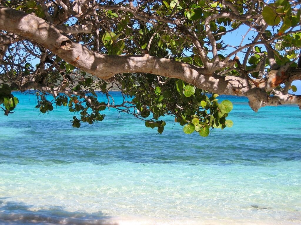 Barbados - caribbean vibes