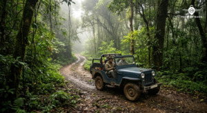 Open-top jeep on narrow forest trail surrounded by dense Western Ghats greenery, early morning mist, natural light filte